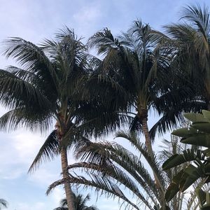 Meet your Posher, June